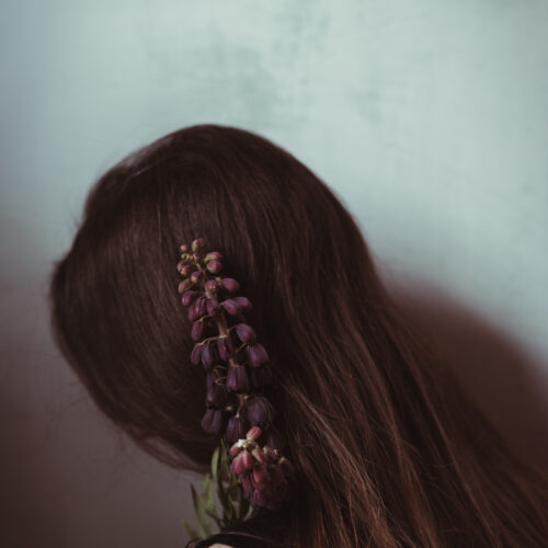 Fritillaria portrait series